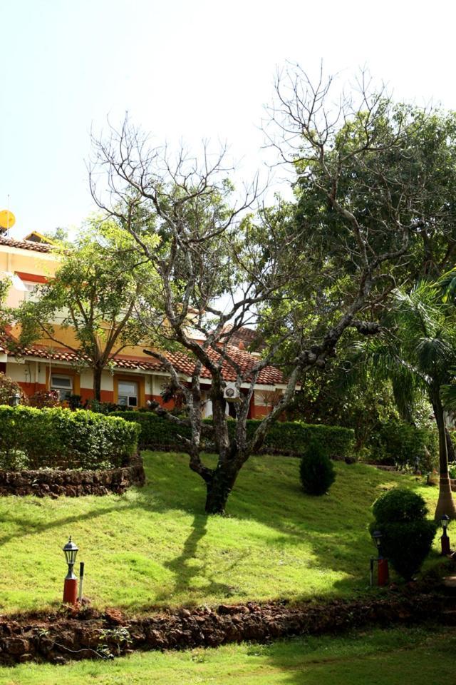 Nirvana Hermitage Anjuna Εξωτερικό φωτογραφία